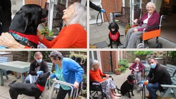 Residents at ParkHouse welcome back friendship dog